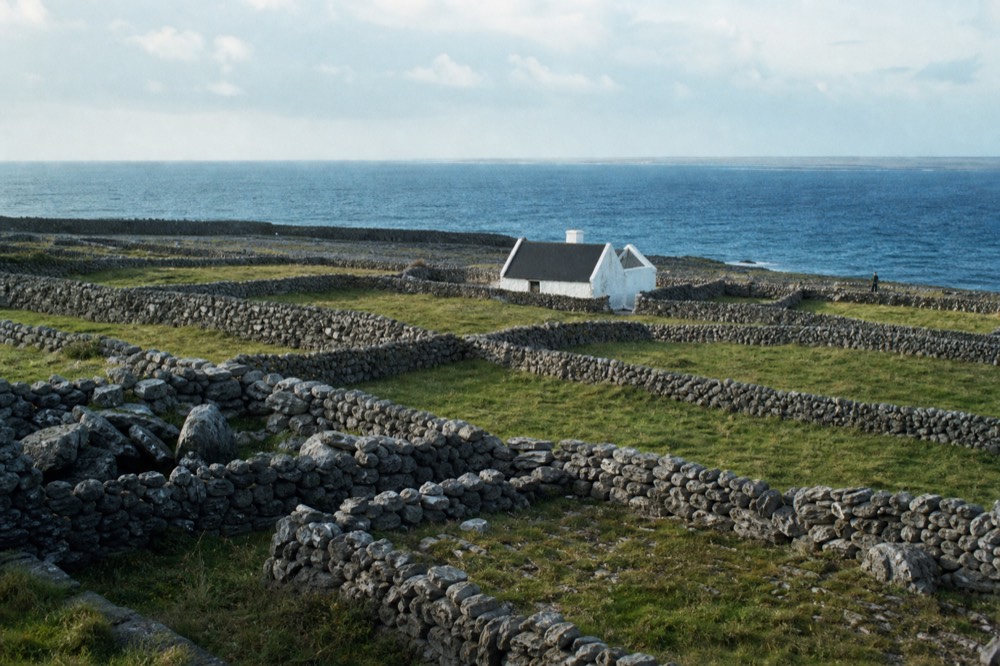A network of dry stone walls dividing small green fields on an Aran island, a single whitewashed cottage among them and the sea beyond the far wall.
