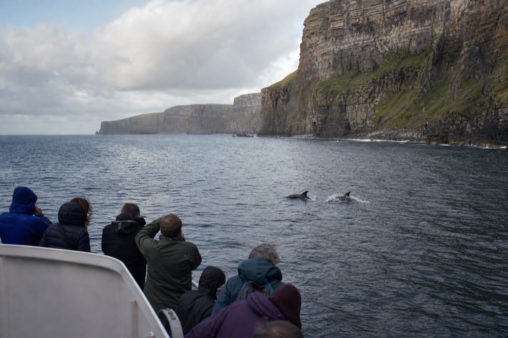 Two dolphins breaking the surface of a calm sea near the base of the Cliffs of Moher, passengers on a nearby boat leaning to watch them under a soft sky.