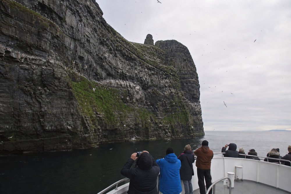 A cliff-cruise boat easing in close beneath the seabird-covered ledges of the Cliffs of Moher on a calm morning, passengers photographing the birds overhead.